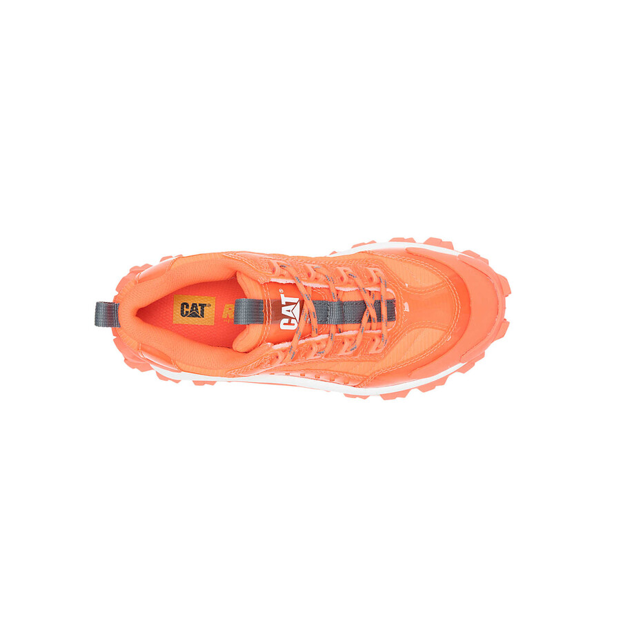 intruder ignite sneaker